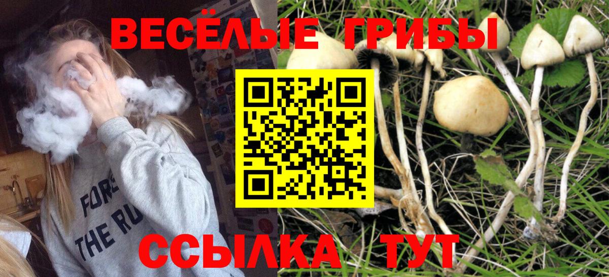 Борзя  Галлюциногенные грибы Magic Shrooms  Вход с VPN 